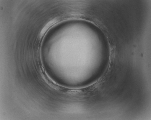 X0000051920051200507082105