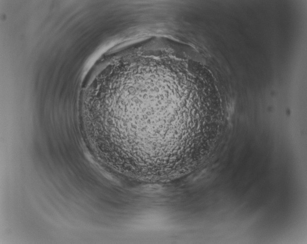 X0000051920052200507082105