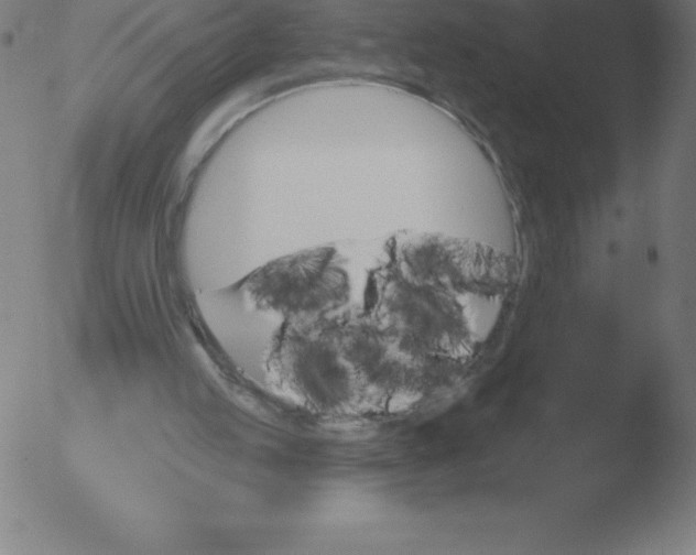 X0000051920053200507082105