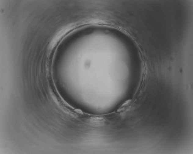 X0000051920055200507082105