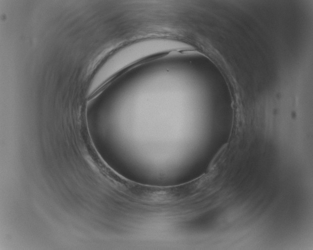 X0000051920058200507082105