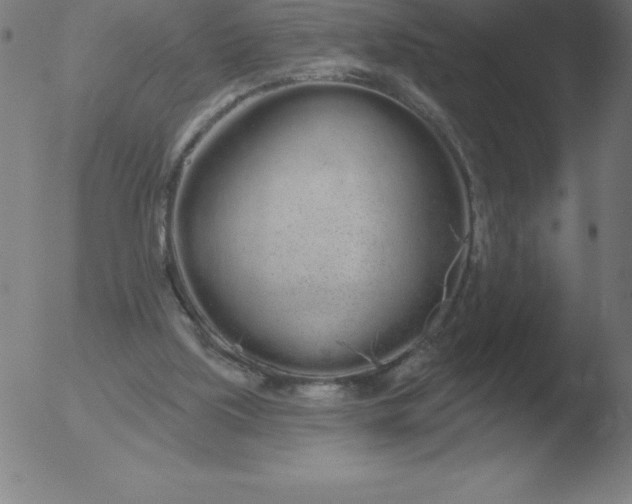 X0000051920059200507082105