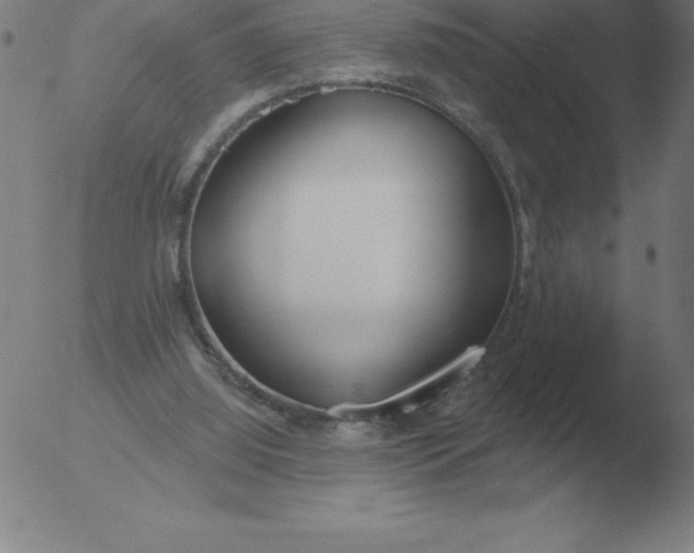 X0000051920060200507082105