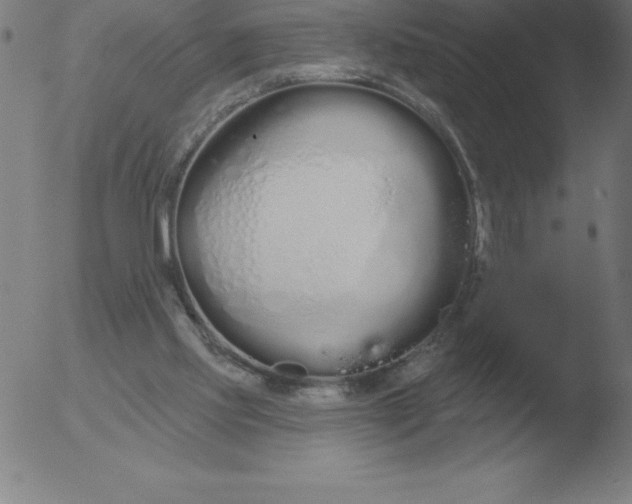 X0000051920061200507082105