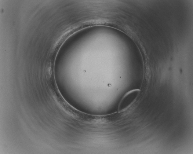 X0000051920063200507082105