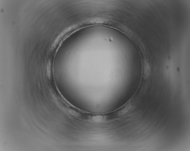 X0000051920064200507082105