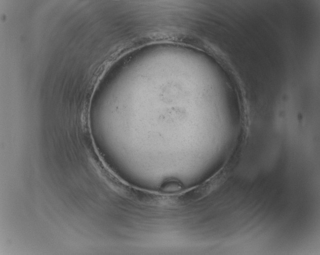 X0000051920065200507082105