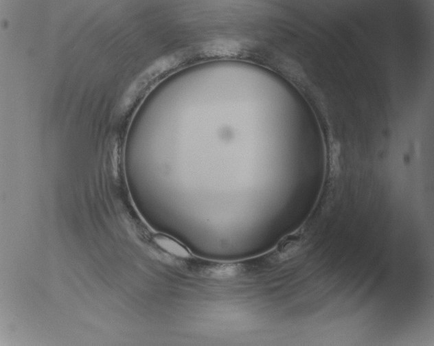 X0000051920068200507082105