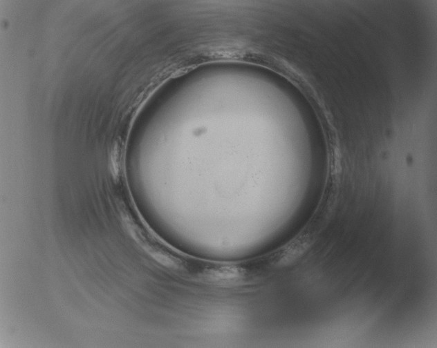 X0000051920069200507082105