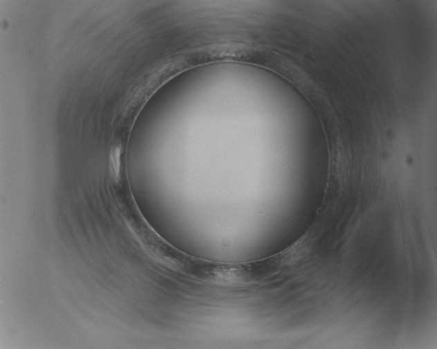 X0000051920070200507082105