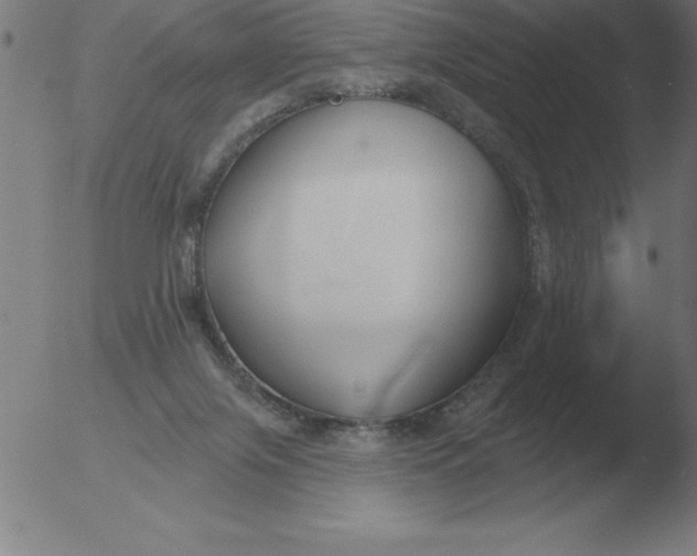 X0000051920071200507082106