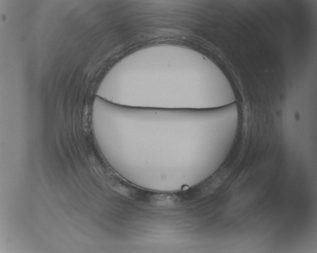 X0000051920073200507082106