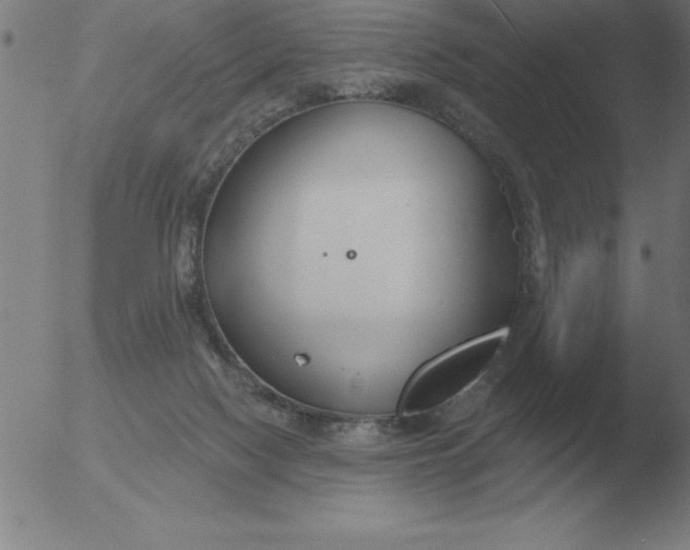 X0000051920074200507082106