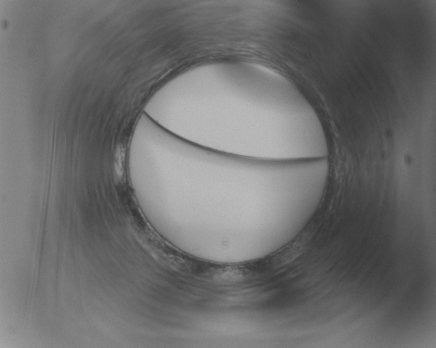 X0000051920075200507082106