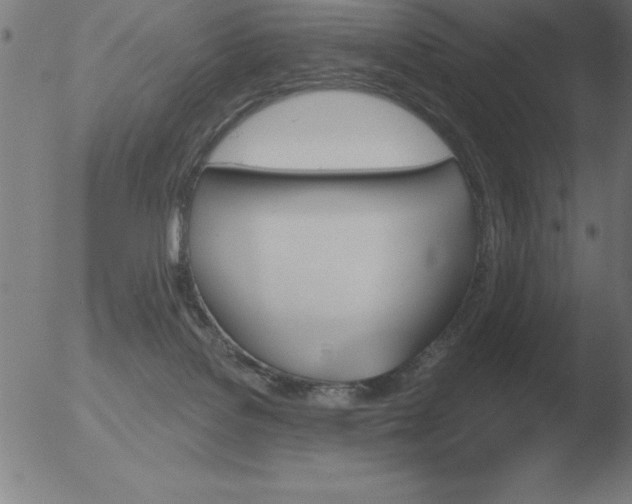 X0000051920076200507082106