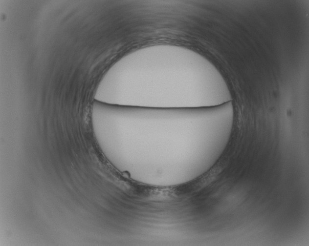 X0000051920077200507082106