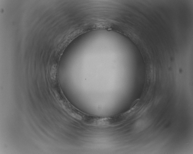 X0000051920078200507082106