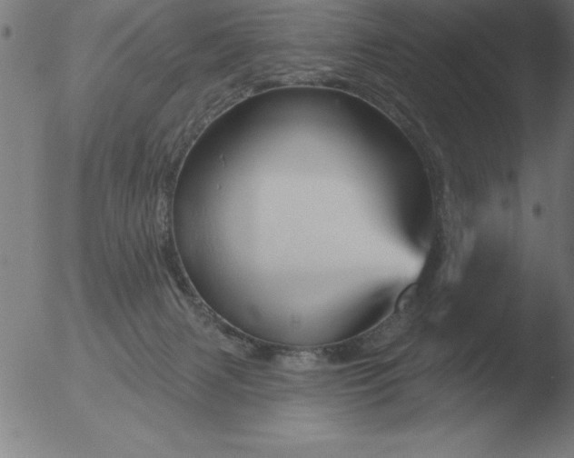 X0000051920079200507082106