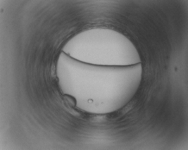 X0000051920081200507082106