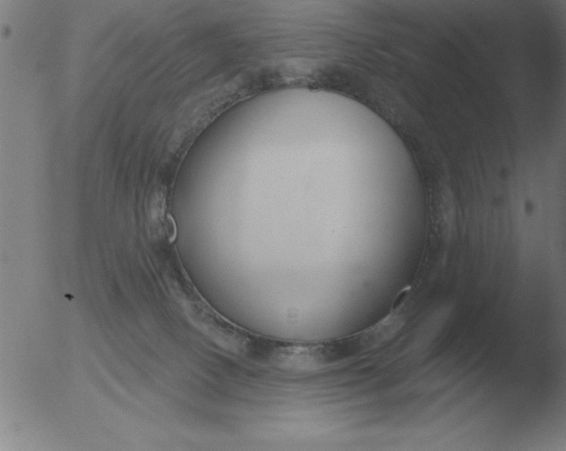 X0000051920082200507082106