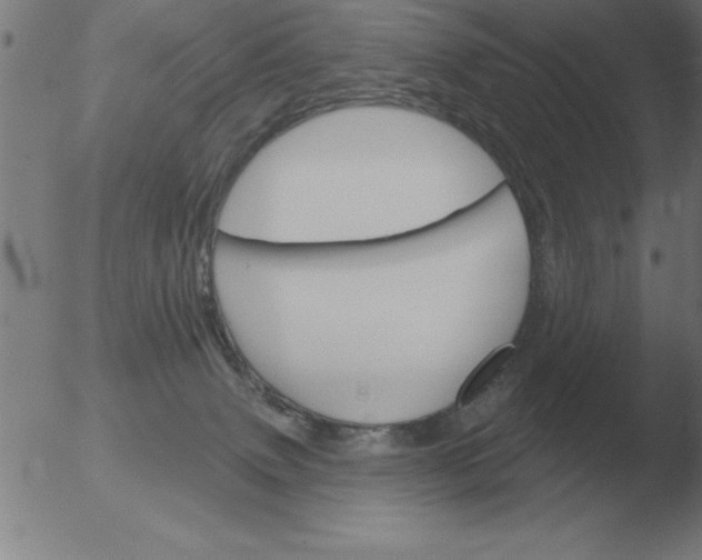 X0000051920083200507082106