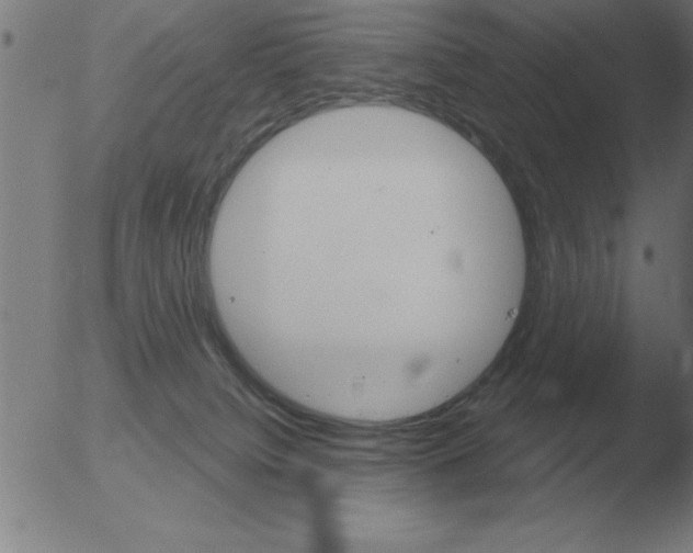 X0000051920084200507082106