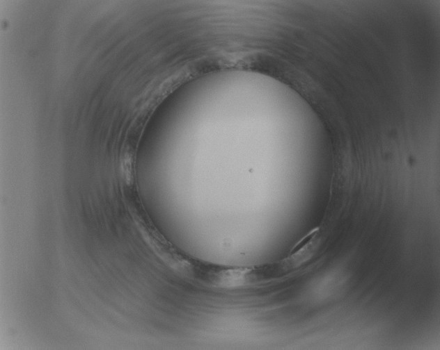 X0000051920090200507082106