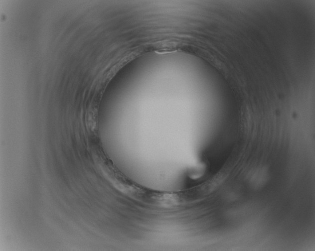 X0000051920091200507082106