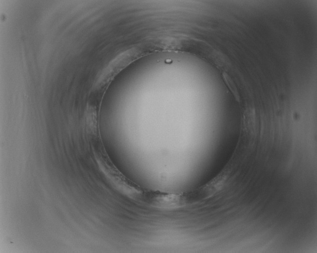 X0000051920092200507082106