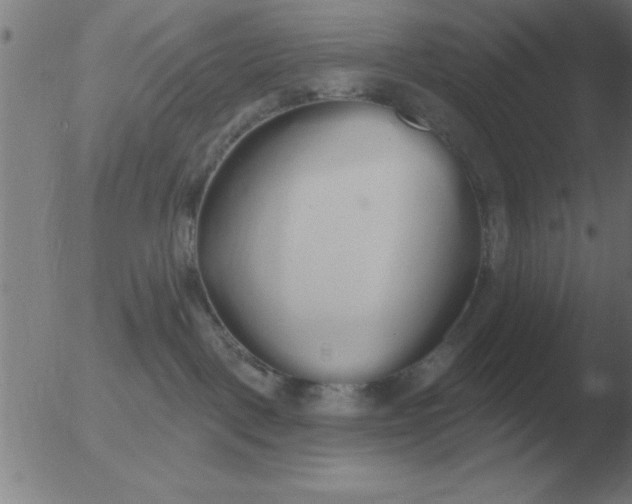 X0000051920093200507082106