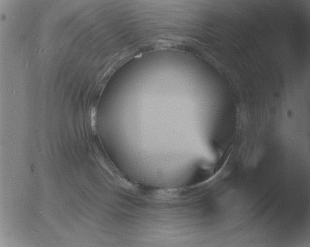 X0000051920094200507082106