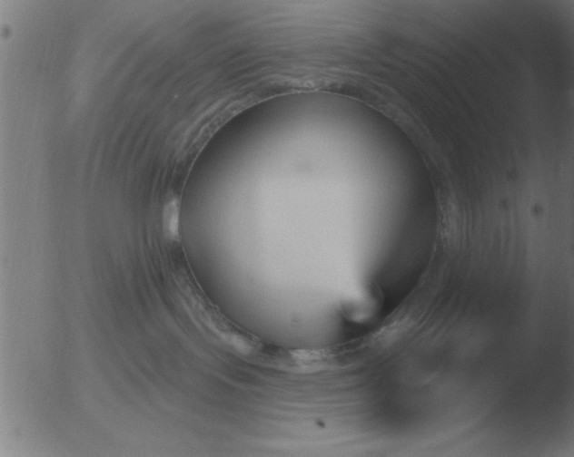 X0000051920095200507082106