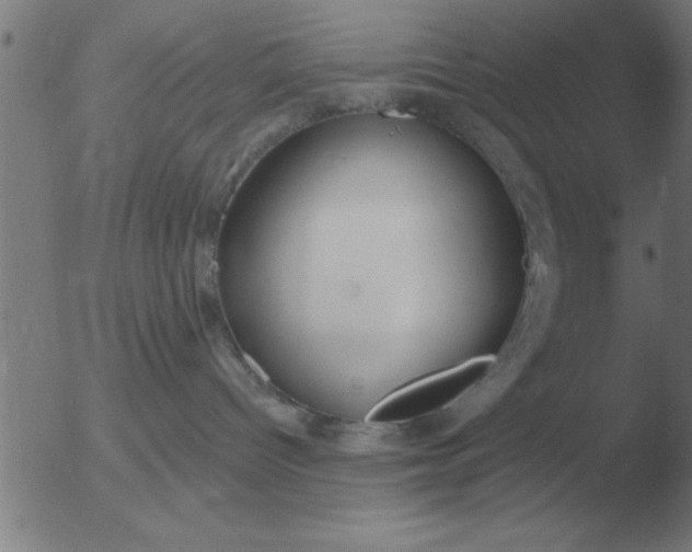 X0000051920096200507082106