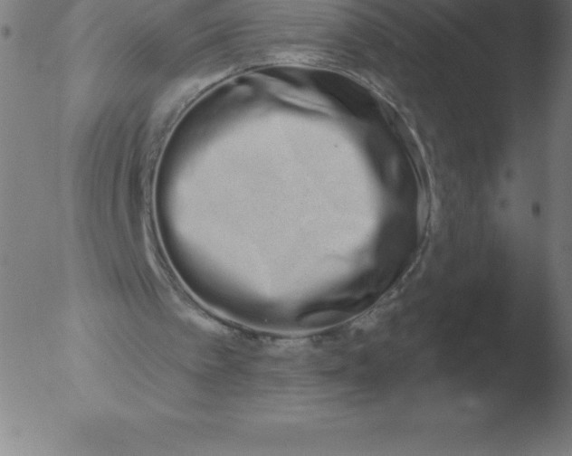 X0000051920097200507082105