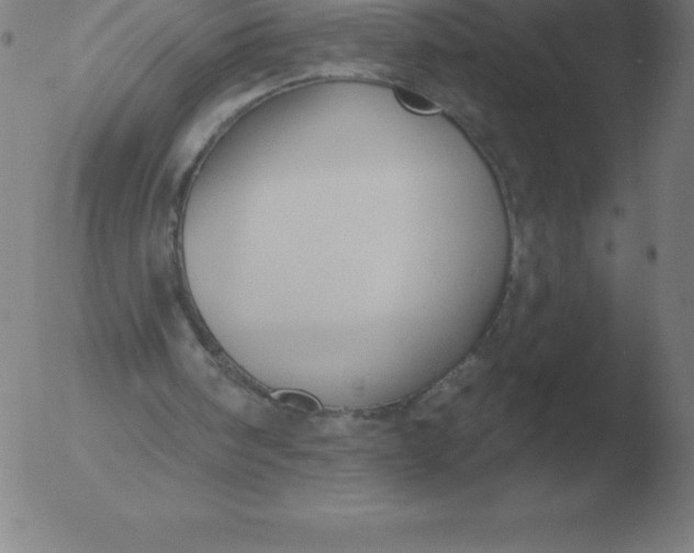 X0000051920098200507082105