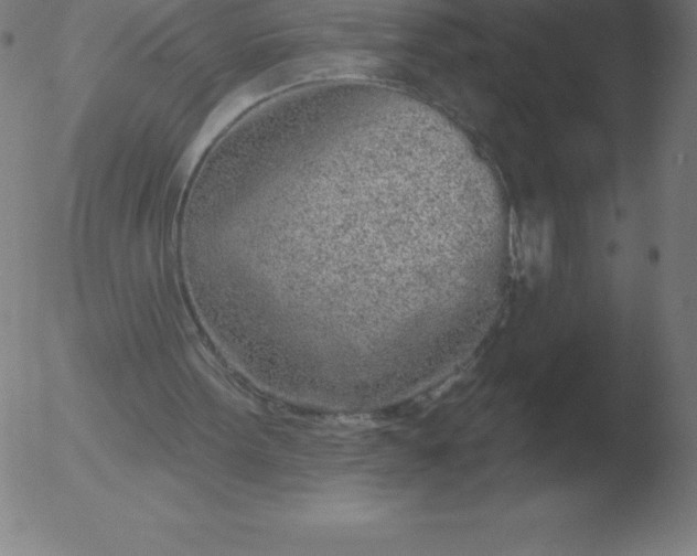 X0000051920099200507082105