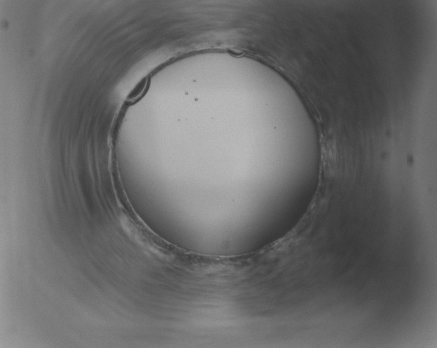 X0000051920100200507082105