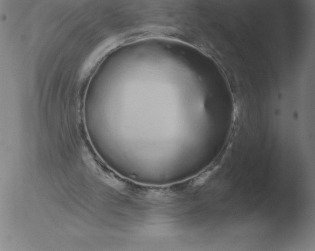 X0000051920101200507082105