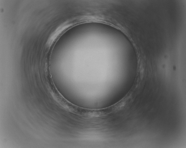 X0000051920103200507082105