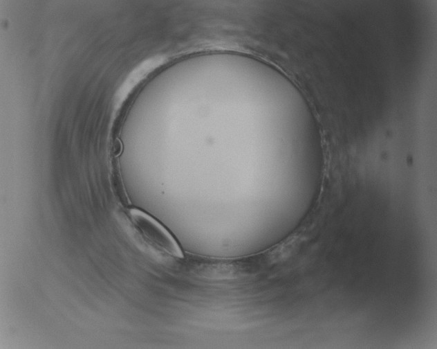 X0000051920104200507082105