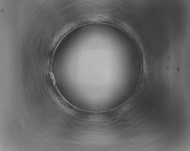 X0000051920105200507082105