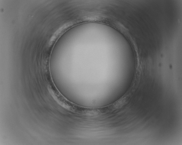 X0000051920106200507082105