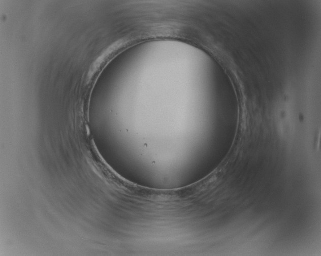 X0000051920107200507082105