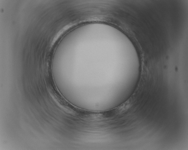 X0000051920108200507082105