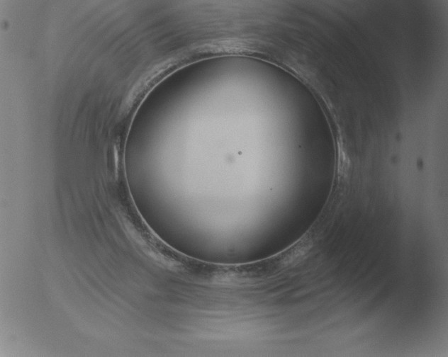 X0000051920109200507082105