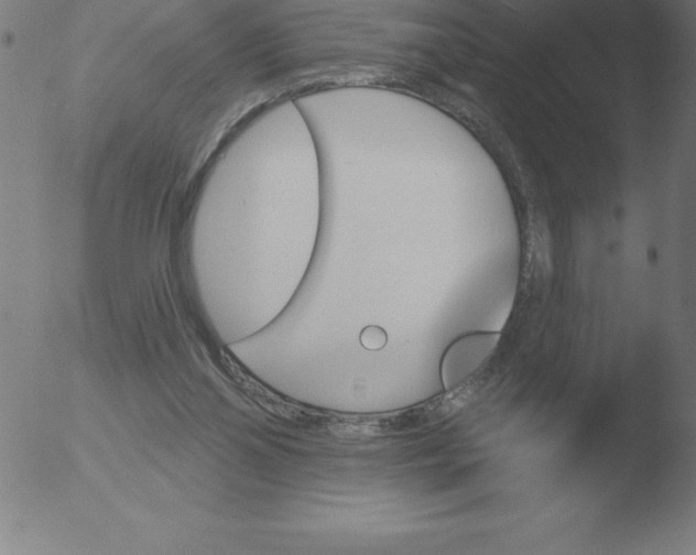 X0000051920110200507082105