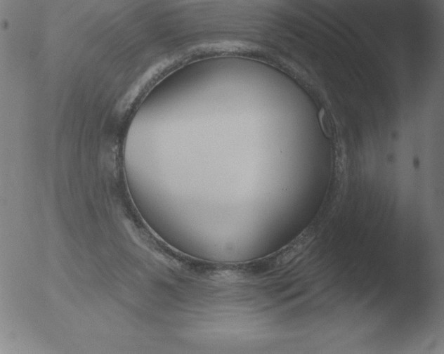 X0000051920111200507082105