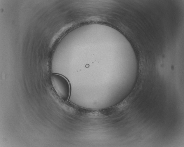 X0000051920112200507082105