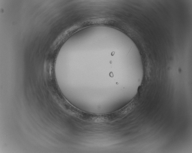 X0000051920115200507082105