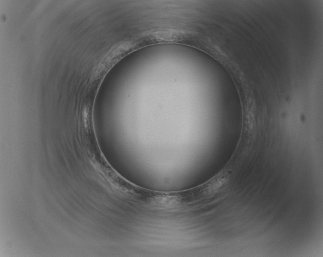 X0000051920117200507082105